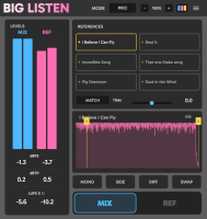 Big Listen