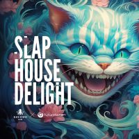 Futuretone – Slap House Delight