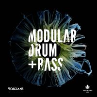 Voicians - Modular Drum & Bass Vol.1