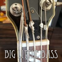 Big Little Bass
