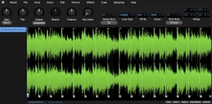 Bliss Sample Editor View