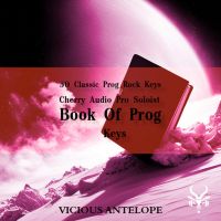 Book Of Prog: Keys - Pro Soloist