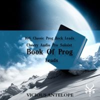 Book Of Prog: Leads - Pro Soloist