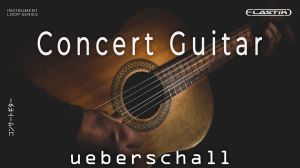 Concert Guitar