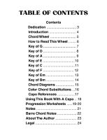 A Songwriter's Guide to Open String Harmony