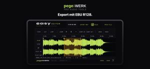 pegelWERK easy EDITOR