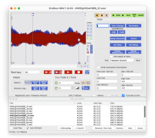 Endless WAV Tools (macOS)