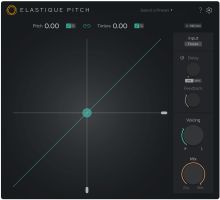 Elastique Pitch