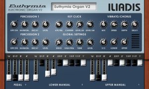 Euthymia Electronic Organ