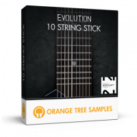 Evolution 10 String Stick