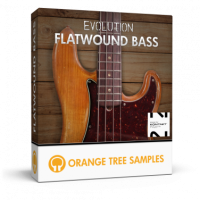 Evolution Flatwound Bass