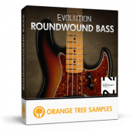 Evolution Roundwound Bass