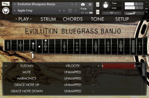 Evolution Bluegrass Banjo