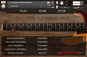 Evolution Flatwound Bass