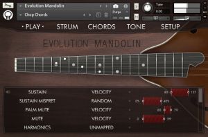 Evolution Mandolin