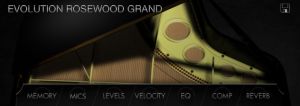Evolution Rosewood Grand