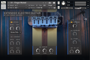 Extended Electric Guitar