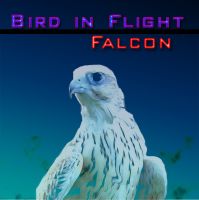 Bird of Flight for UVI Falcon