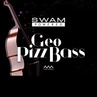 GeoPizzBass