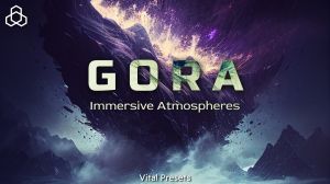 Gora: Immersive Atmospheres for Vital