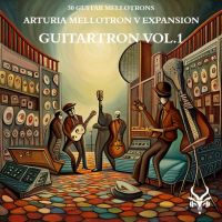 Guitartron Vol.1 - Mellotron V and Analog Lab V