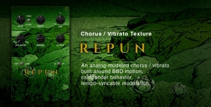 REPUN