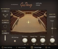 Neo Guzheng