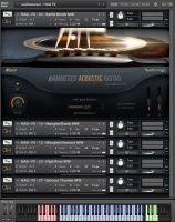 Hammered Acoustic Guitar (Full Bundle)