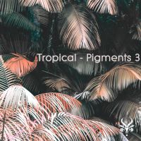 Tropical - Pigments 3