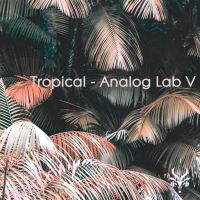Tropical - Analog Lab V