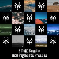 Biome Bundle - Pigments 3