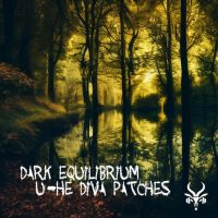 Dark Equilibrium - Diva