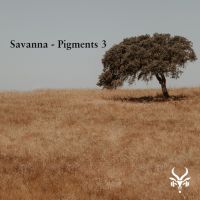 Savanna - Pigments 3