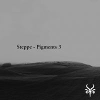 Steppe - Pigments 3