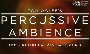 Percussive Ambience for Valhalla VintageVerb