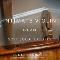 Intimate Violin 