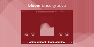 Bloom Bass Groove