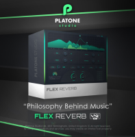 Flex Reverb