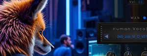 VoXoV vol.02 &ndash; Human Vocal VST