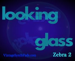 Looking Glass for Zebra 2