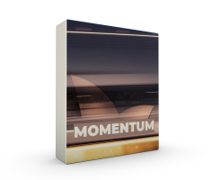 Momentum
