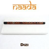 Naada Dizi