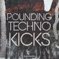 Pounding Techno Kicks (600 Kick Samples)