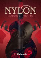Nylon: Flamenco Rhythms