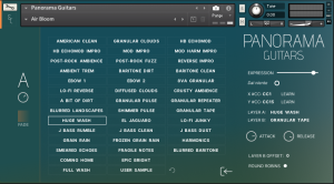 Panorama Guitars