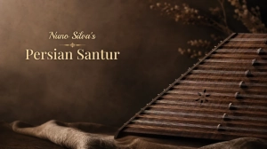 Nuno Silva's Persian Santur