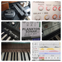 PLANKTON SONAR