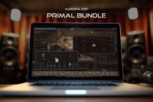 Primal Bundle
