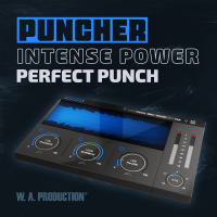 W. A. Production Puncher