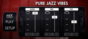 Pure Jazz Vibes